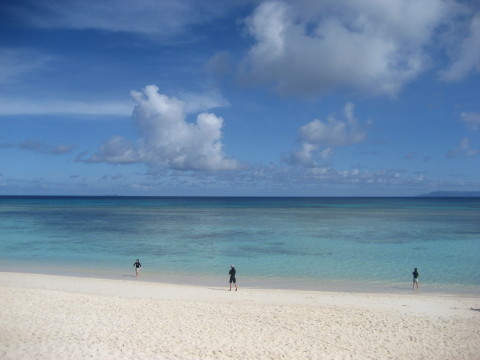 d0077811_021987.jpg