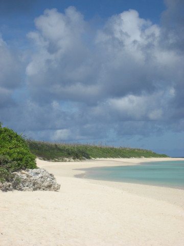 d0077811_022954.jpg