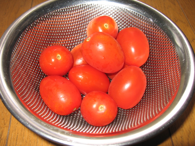 b0093515_743737.jpg