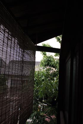 e0156015_1237638.jpg