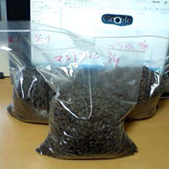 c0036617_20572959.jpg