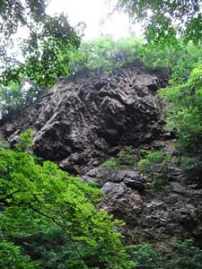 c0164318_165045.jpg
