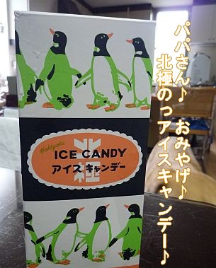 c0087521_22433446.jpg