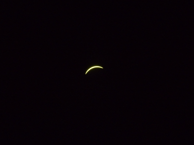 e0098223_0262846.gif