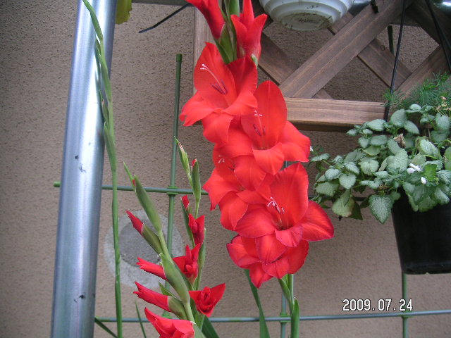 a0020929_21155695.jpg