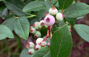 a0046429_22544815.jpg