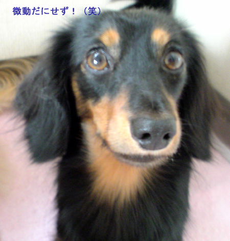 c0117831_215616.jpg