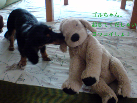 c0117831_21581423.jpg