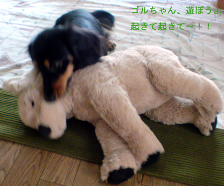 c0117831_2158452.jpg