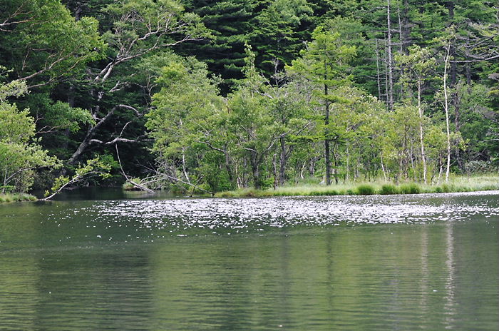 a0126632_20133176.jpg