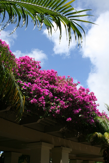 c0156438_6484921.jpg