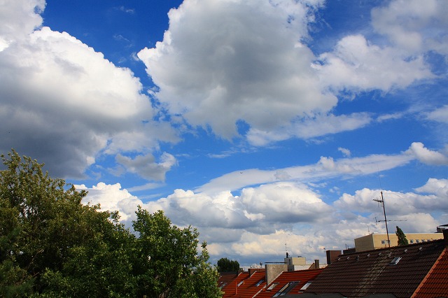 c0153740_5251049.jpg