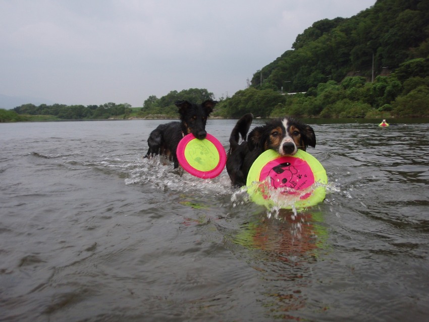 d0077740_20495685.jpg
