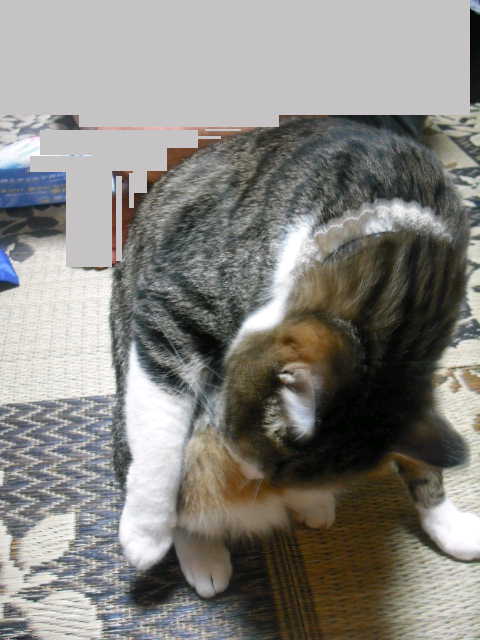 c0194042_20343393.jpg