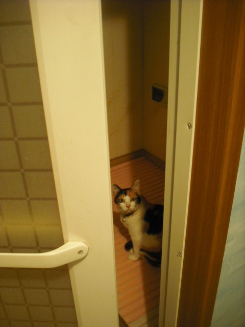 c0194042_2134874.jpg