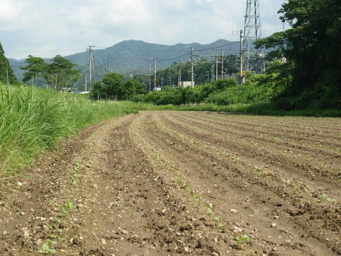 c0072843_2185960.jpg