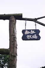 f0144444_20504890.jpg