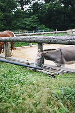 f0144444_20511100.jpg