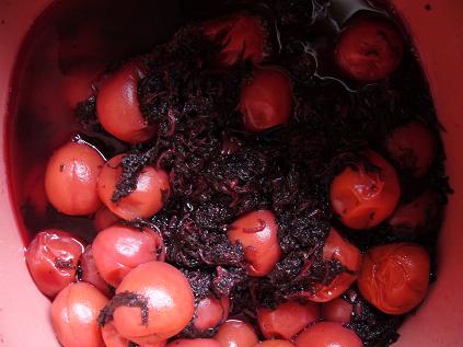 f0180166_20152069.jpg