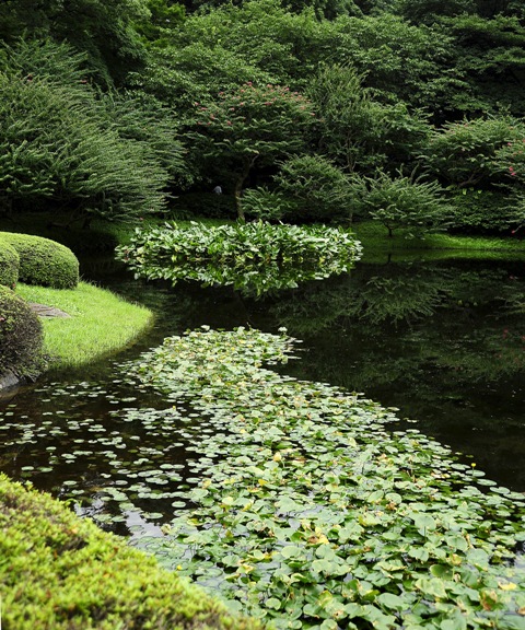 b0131167_019154.jpg