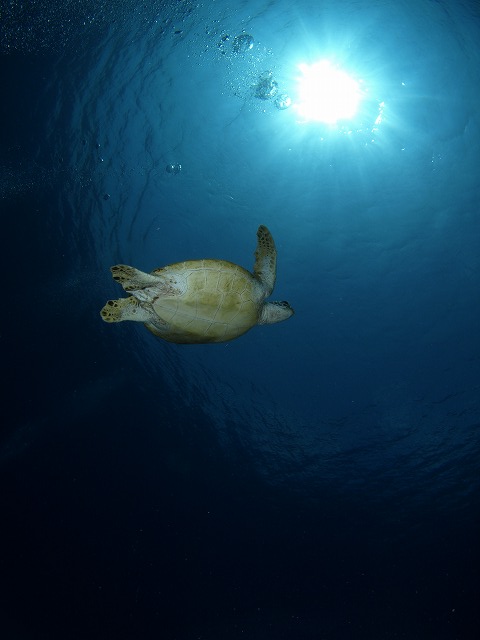 b0138768_2114638.jpg