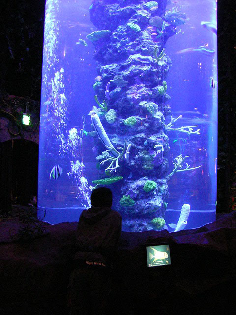 e0000968_2236579.jpg