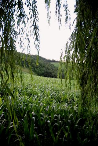 f0118968_6405211.jpg