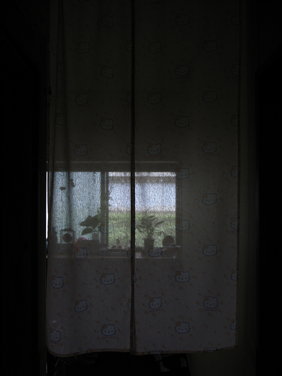 d0150174_18391155.jpg