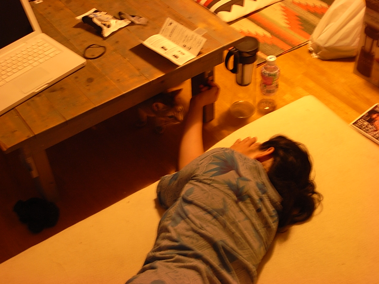 b0177078_21543883.jpg