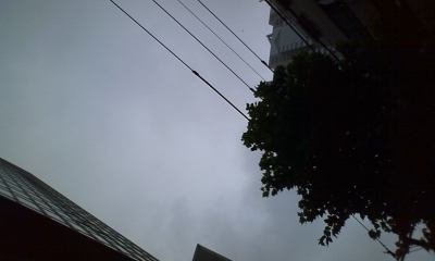 c0024579_059222.jpg