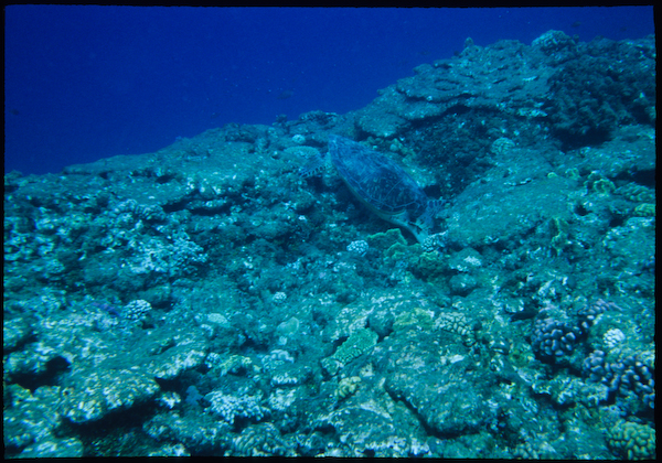 a0053783_22572939.jpg