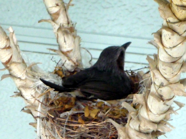 c0125283_1814749.jpg