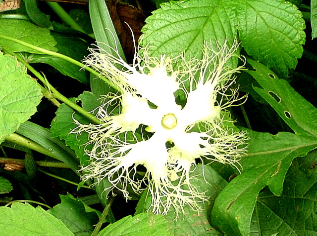 a0007388_1227351.jpg