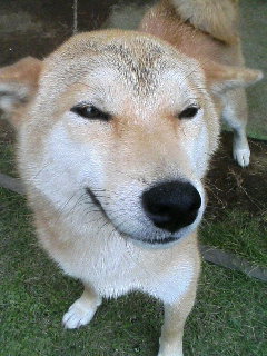 c0123890_20292550.jpg