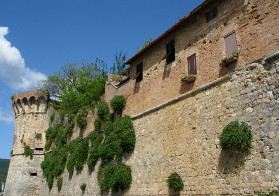 d0129295_21521493.jpg