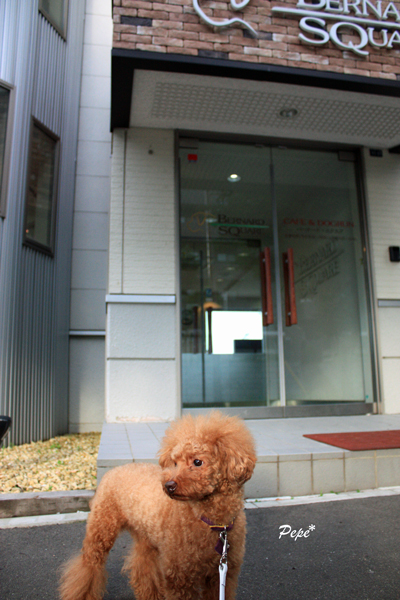 f0001895_2012097.jpg