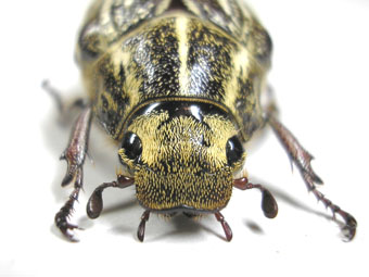e0083097_22391219.jpg