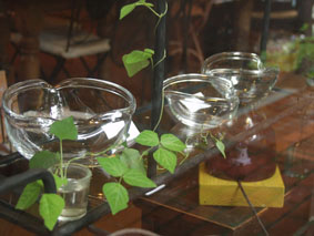 b0101300_10561360.jpg