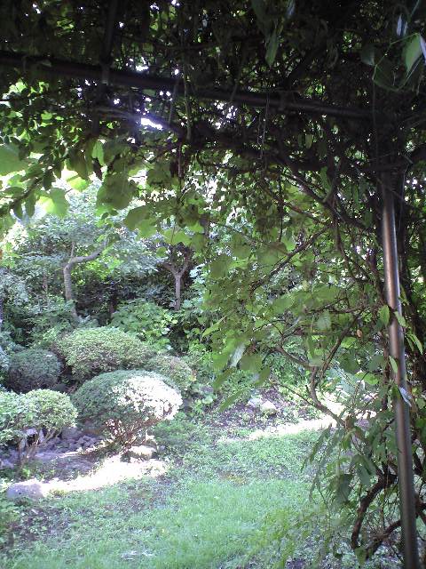 b0083902_2047288.jpg