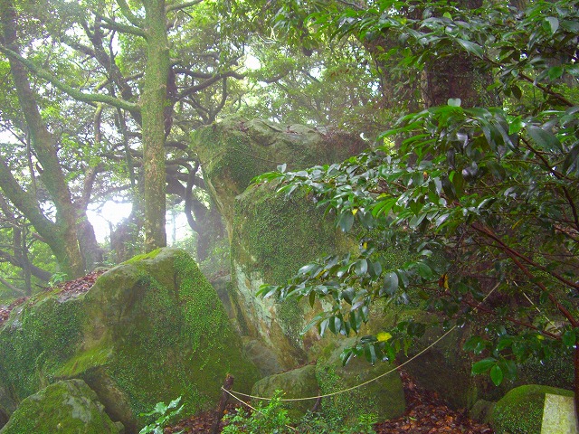 c0125702_14323289.jpg