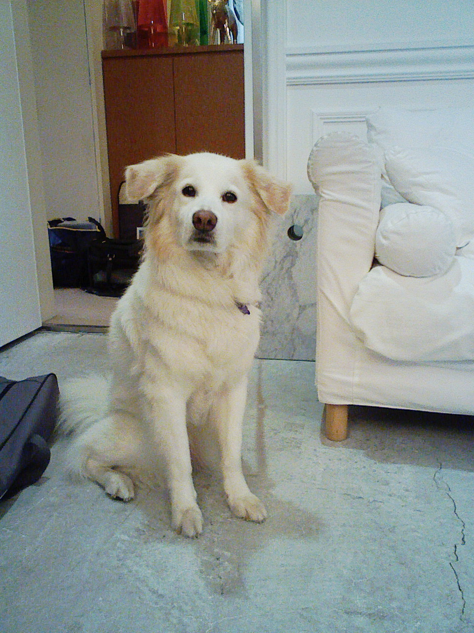 a0032004_1262866.jpg