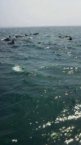 c0008906_21144722.jpg