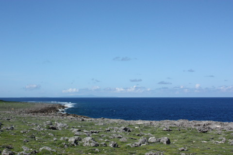 d0077811_23175520.jpg