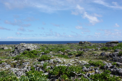 d0077811_23342262.jpg