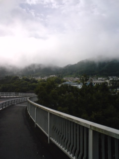 b0121015_2210564.jpg