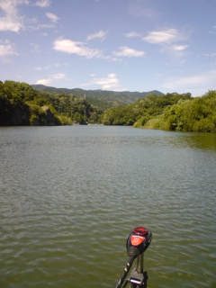 b0121015_2213316.jpg