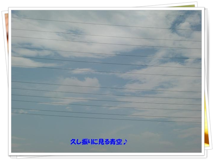 f0182121_11291948.jpg