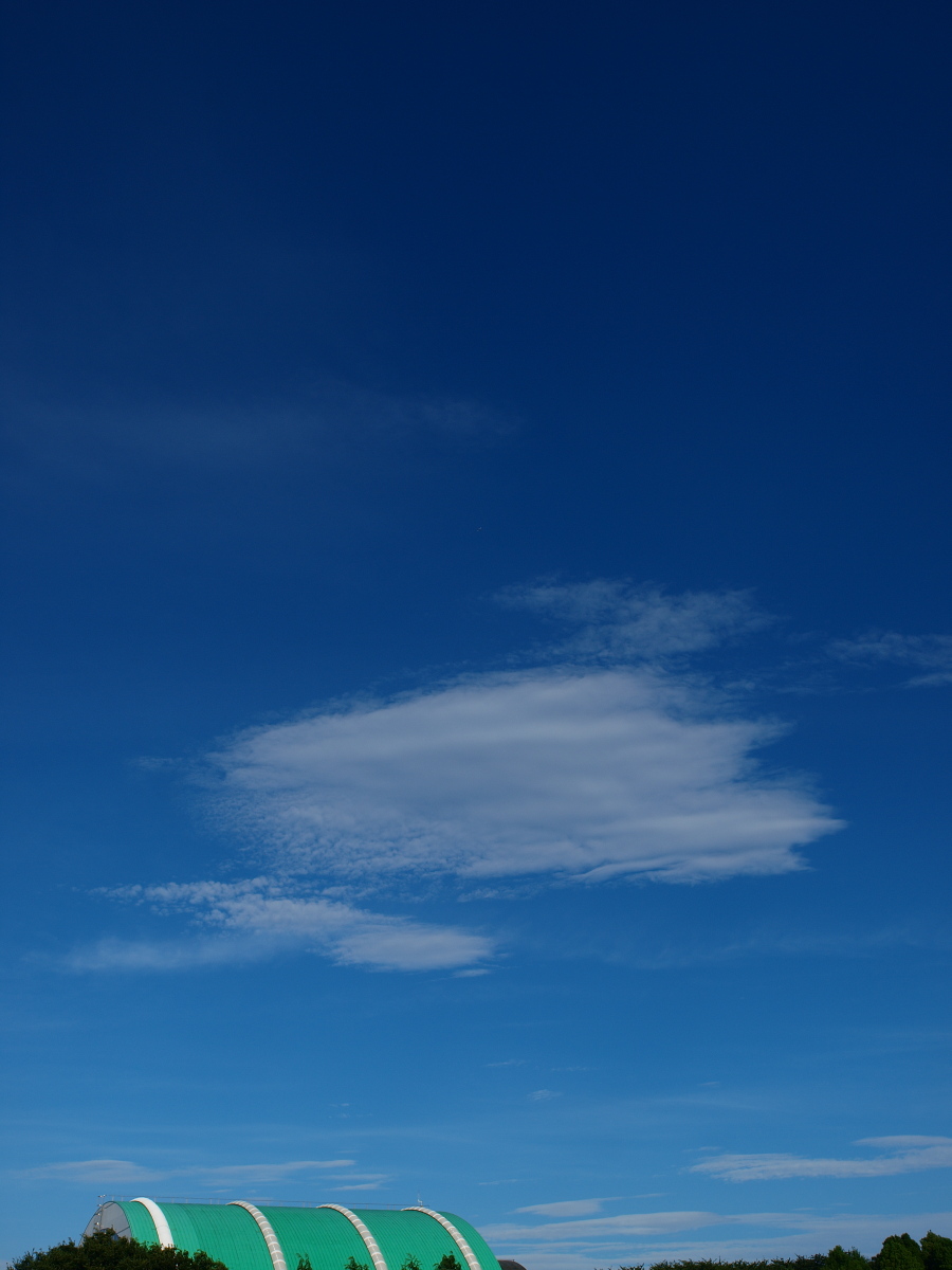 b0137723_21175489.jpg