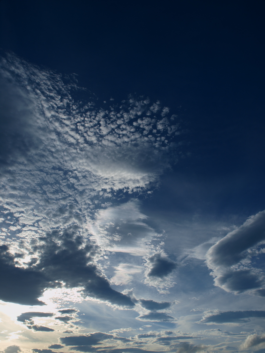 b0137723_21245629.jpg