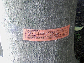 f0050523_2255892.jpg